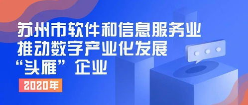 申報2020年蘇州市軟件和信息服務業推動數字產業化發展“頭雁”企業——網絡技術服務